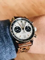 Hamilton Panda II.webp