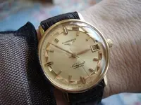 DSC01780.webp