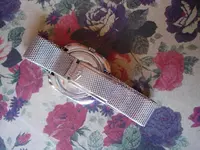 clasp2.webp clasp2.webp