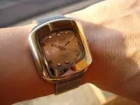 wristshot.webp wristshot.webp