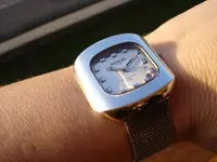wristshot sun.webp wristshot sun.webp