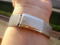 wristshot clasp.webp