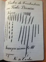 frankestain2 002.webp