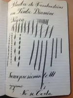 frankestain2 006.webp