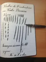 frankestain2 007.webp