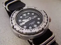 338506_Full.webp