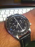 speedy.webp