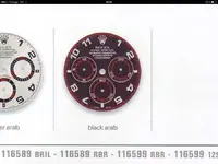 image.webp image.webp