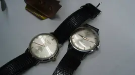 PB300016.webp