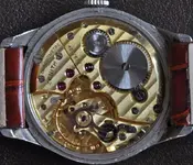 135 zenith.webp 135 zenith.webp
