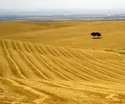 Jabalquinto4.webp