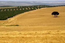 Jabalquinto1.webp
