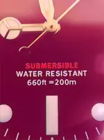 D3767472-2B67-47AD-A166-EE5DA0E8C446.webp