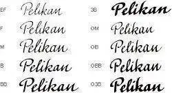 pelikan puntos.webp