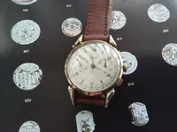 20190301_111554.webp