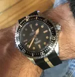 Steinhart OVM (Small).webp