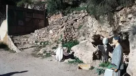 20190309_162936(0).webp