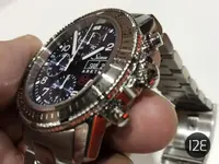 Sinn-7.webp