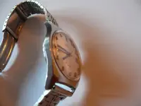 P1050438.webp
