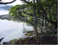 554453498-2fb3b2b034.webp
