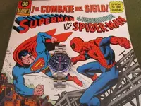 spiderwatch.webp