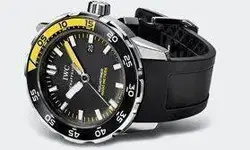 image.webp