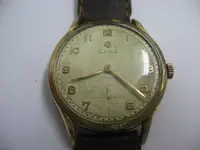 Cyma 004.webp