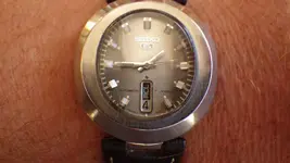 IMGP0578.webp