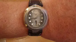 IMGP0577.webp