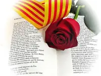 diada-de-Sant-Jordi-2017.webp