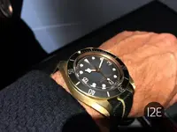 Tudor-7.webp