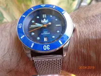 DSC00079.webp