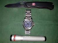 Victorinox INOX. Mechanical 43mm 200M  #241835 (1).webp