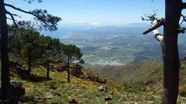 IMGP0588.webp