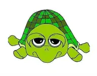 tortuga.webp tortuga.webp