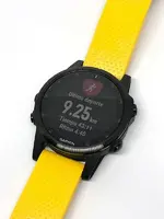 Garmin Fenix 5S plus foto 7.webp