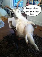 CABRA MECEDORA 005.webp