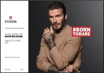 Tudor-Beckham.webp