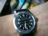 P5250237.webp
