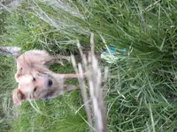 20181031_154019.webp