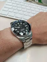 steinhart.webp