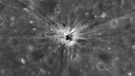 Moon4.webp
