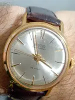 vostok 2.webp