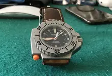 fullsizeoutput_238.webp