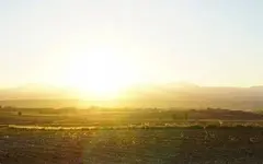 Sin título.webp