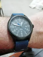 15573089120654952226544969138629.webp