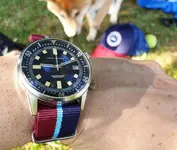 IMG_20190608_091406_300.webp