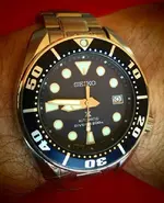 AD85A98F-CBF5-4C60-B9B5-A5CEBFE17EB1.webp