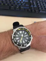 B tuna.webp