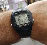 Casio W-800H  (1).webp